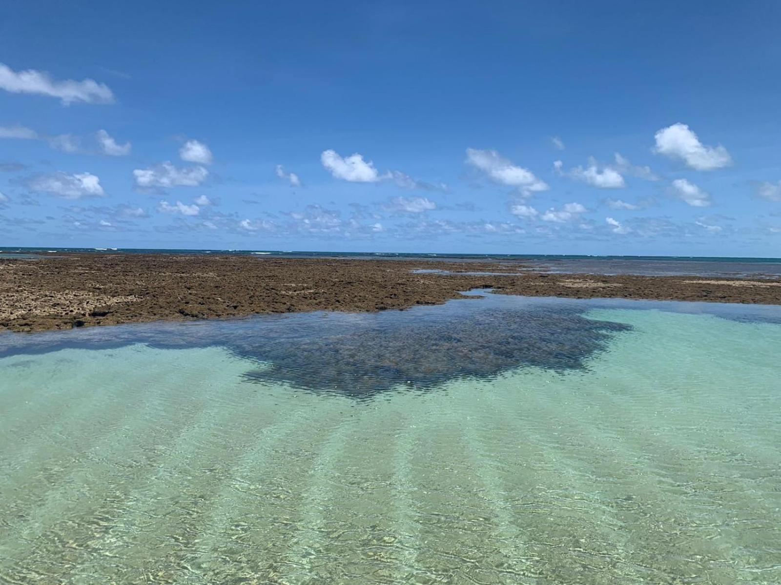 Maui Beach Residence Tamandaré المظهر الخارجي الصورة